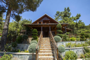 Ricky Chalet Near Troodos Spilia